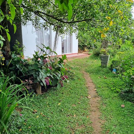 Squirrel'S Nest Hotel Kandy Bagian luar foto