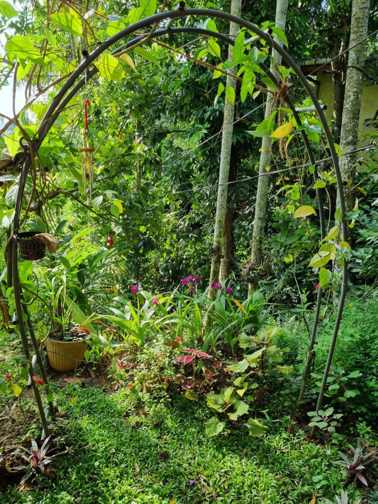 Squirrel'S Nest Hotel Kandy Bagian luar foto
