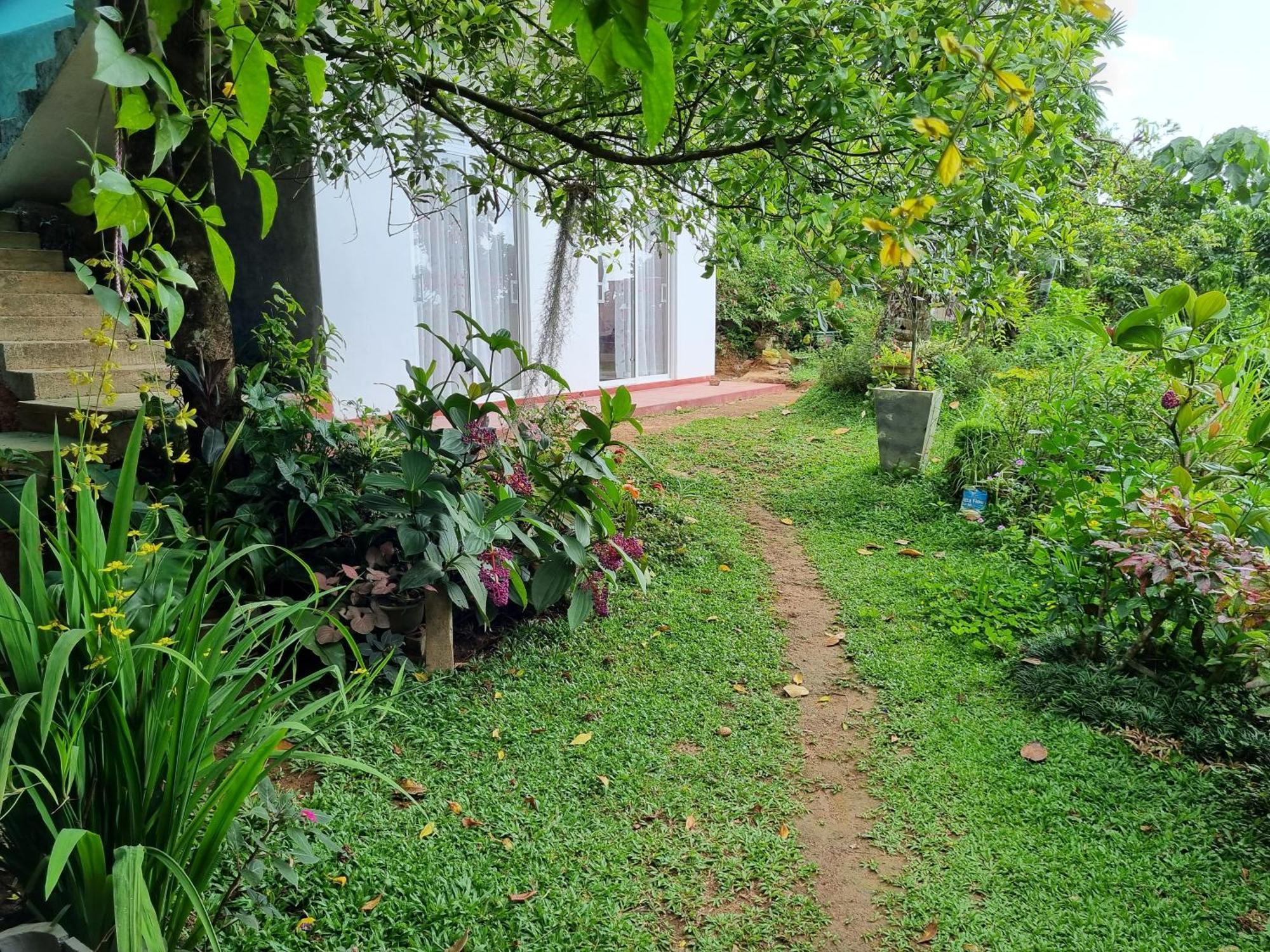Squirrel'S Nest Hotel Kandy Bagian luar foto