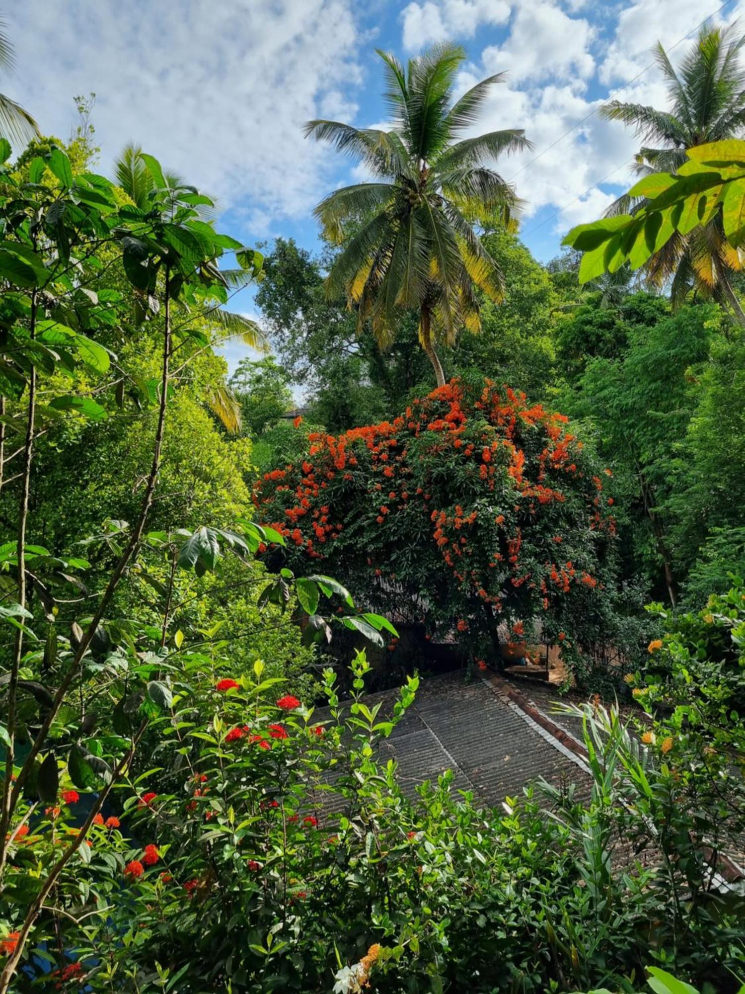 Squirrel'S Nest Hotel Kandy Bagian luar foto