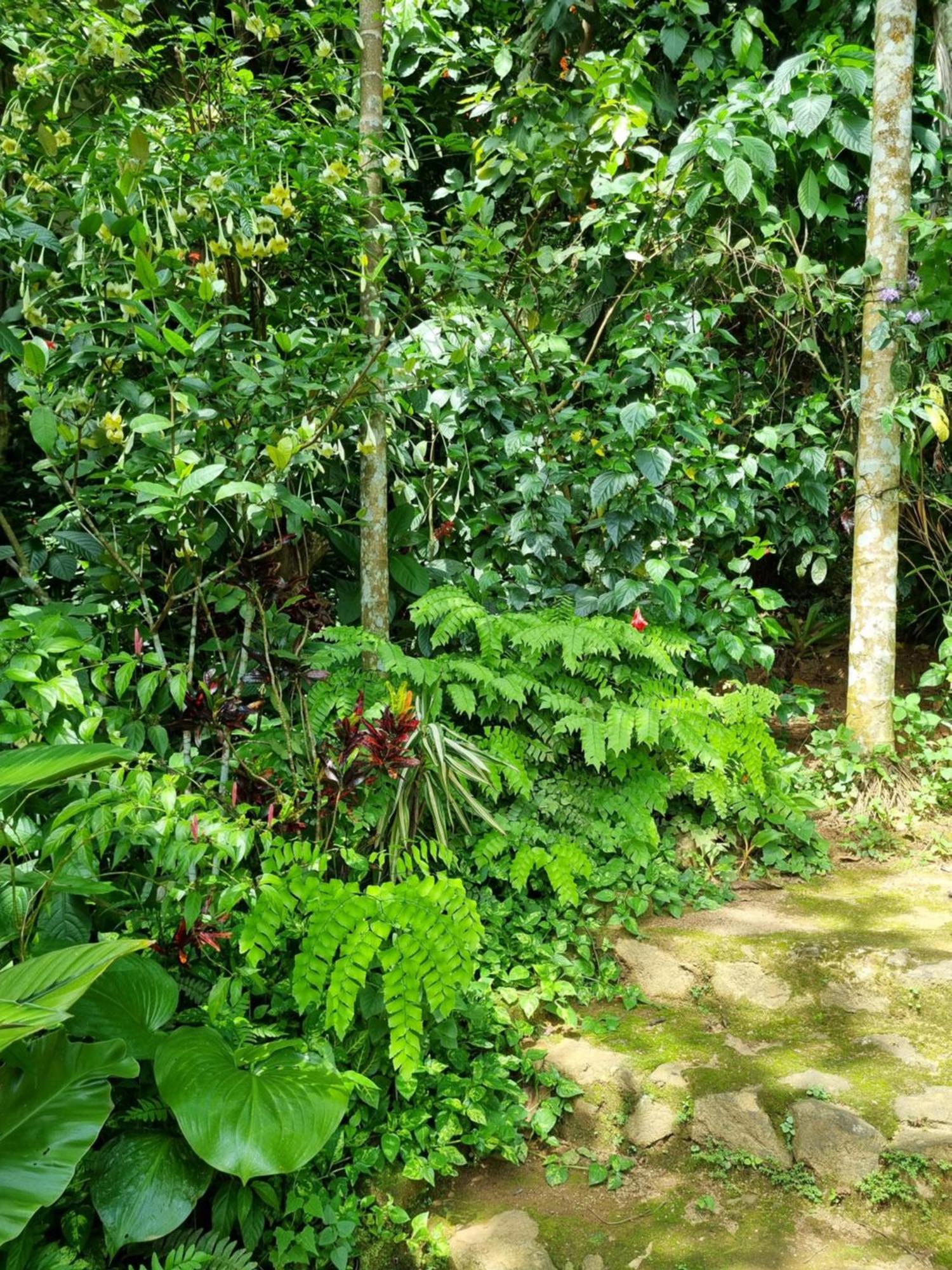 Squirrel'S Nest Hotel Kandy Bagian luar foto