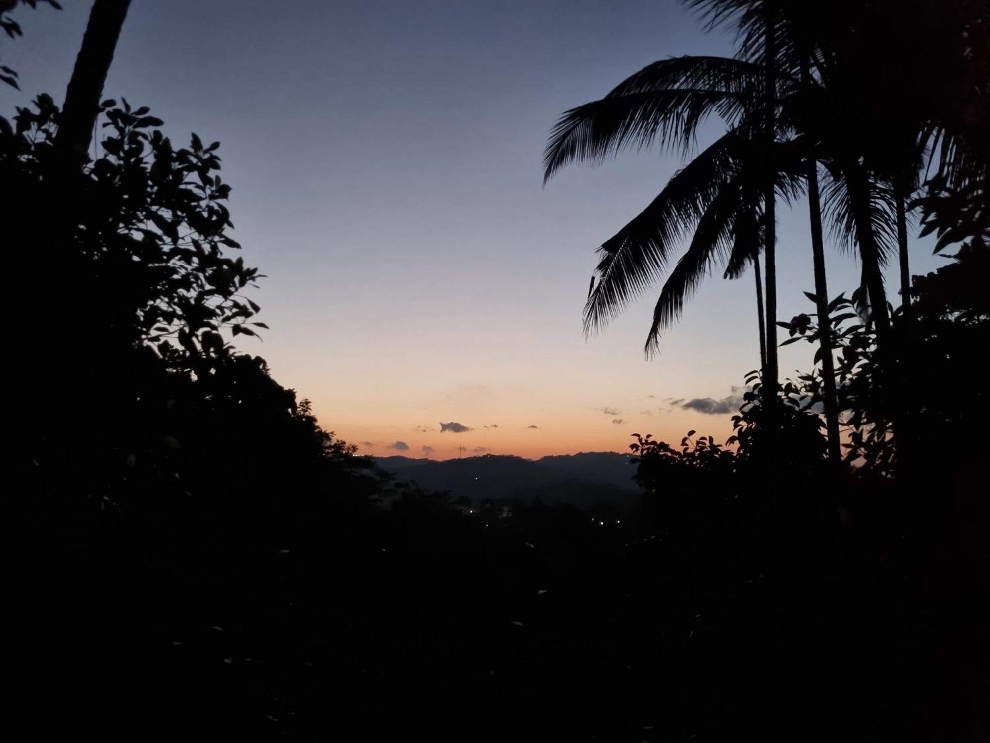 Squirrel'S Nest Hotel Kandy Bagian luar foto