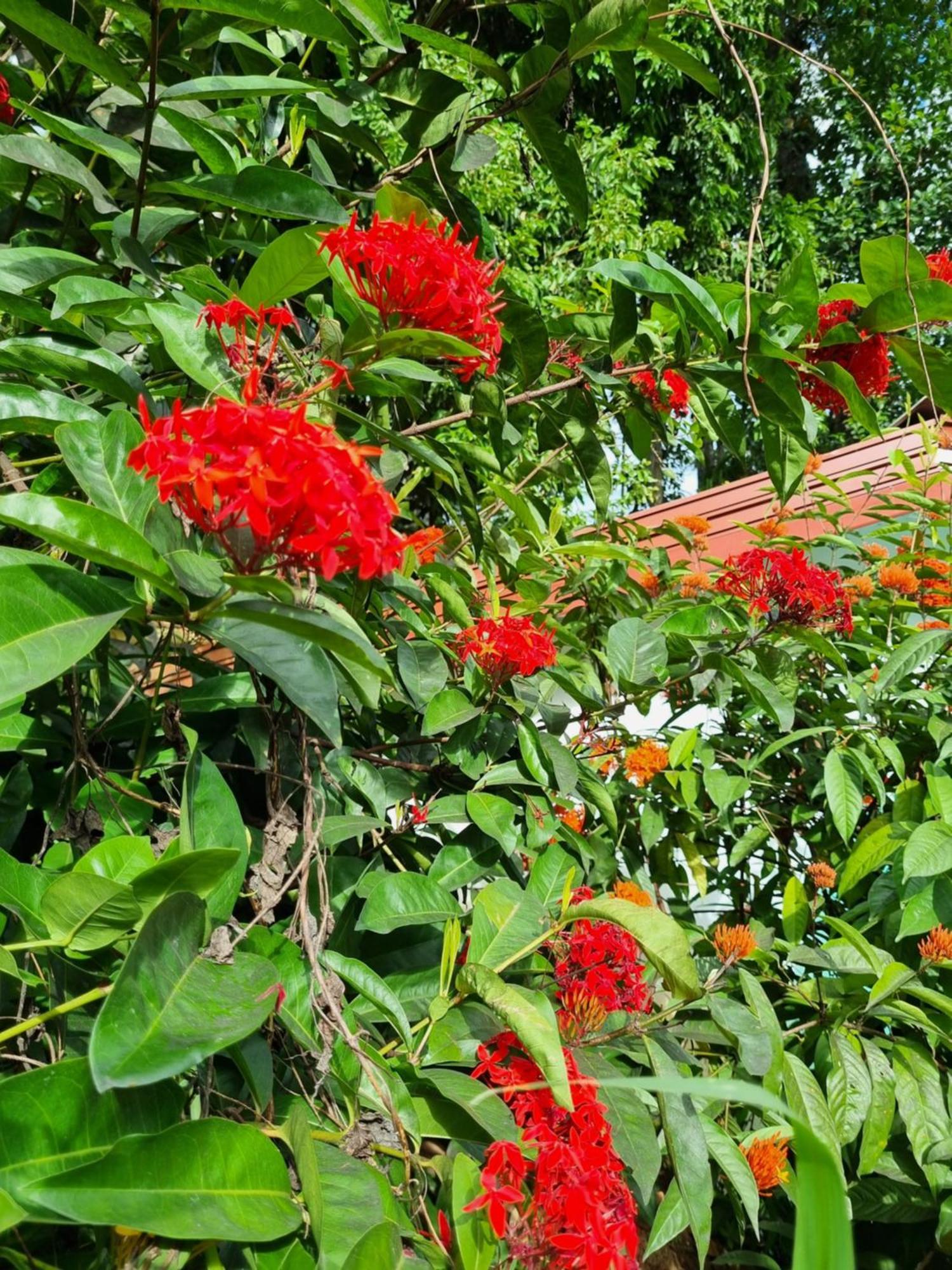 Squirrel'S Nest Hotel Kandy Bagian luar foto